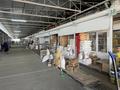 Магазины и бутики · 28 м² за 120 000 ₸ в Алматы, Турксибский р-н — фото 8