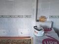 Жеке үй · 4 бөлме · 90 м² · 12 сот., Тогас, бағасы: 16 млн ₸ в Усть-Каменогорске, Ахмирово — фото 24