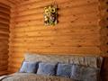 Жеке үй · 2 бөлме · 50 м², Сарыбулак, бағасы: 65 000 ₸ в Бурабае — фото 3