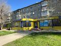5-бөлмелі пәтер · 85.5 м² · 2/5 қабат, Михаэлиса 2, бағасы: 35.9 млн ₸ в Усть-Каменогорске — фото 64