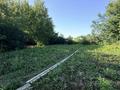 Магазины и бутики · 70.4 м² за 45.9 млн ₸ в Усть-Каменогорске, Меновное — фото 24