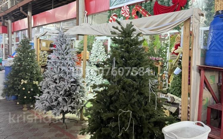 Магазины и бутики · 30 м² за 4 млн ₸ в Шымкенте, Абайский р-н — фото 2