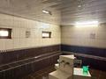 Баня женская/мужская · 120 м² за 69 млн ₸ в Алматы, Алатауский р-н — фото 7