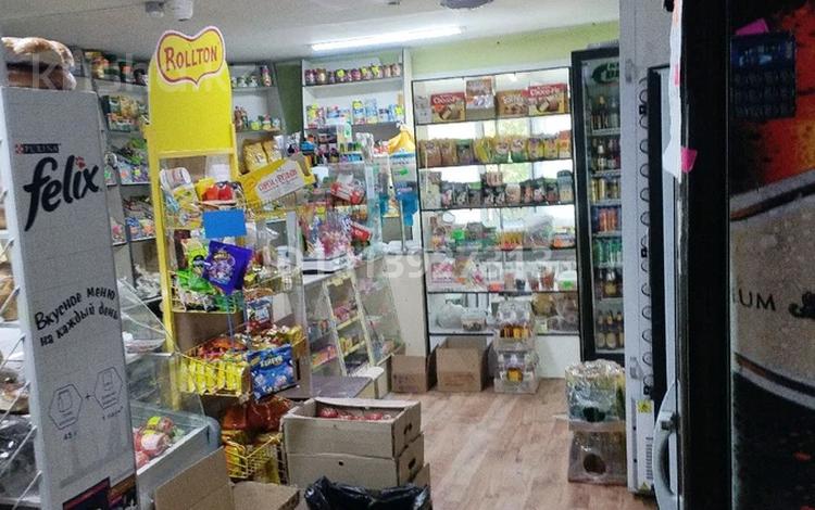 Магазин село Чапаева · 100 м², бағасы: 20 млн ₸ в Алтае — фото 14