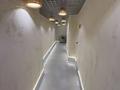 Еркін · 250 м², бағасы: 235 млн ₸ в Алматы, Бостандыкский р-н — фото 9