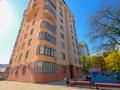 4-комнатная квартира · 176.5 м² · 8/10 этаж, Самал-2 16 — ПАНОРАМНЫЙ ВИД НА ГОРЫ за 164 млн ₸ в Алматы, Медеуский р-н — фото 18