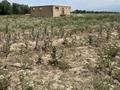 Участок · 6 соток, Алатауский р-н, мкр Зердели за 5 млн ₸ в Алматы — фото 3