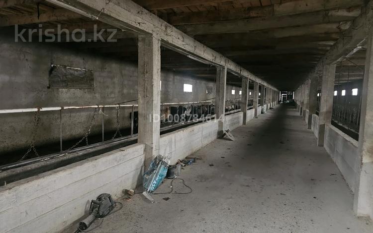 Свободное назначение, склады, сельское хозяйство · 1400 м² за 500 000 ₸ в  — фото 2