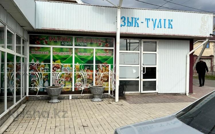 Магазины и бутики, общепит • 99.5 м² за 100 млн 〒 в Шымкенте, Туран р-н — фото 72
