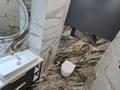 2-бөлмелі пәтер · 75 м² · 7/12 қабат, Нұрсәт ш/а, Аргынбекова 29/4 к2 — Шаяхметов, бағасы: 43.5 млн ₸ в Шымкенте, Каратауский р-н — фото 16