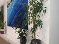 3-бөлмелі пәтер · 90 м² · 1/5 қабат, мкр Нурсая 93, бағасы: 38 млн ₸ в Атырау — фото 2