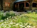 Отдельный дом · 6 комнат · 460 м² · 15 сот., мкр Комсомольский, Мариям Жагоркызы 15 — Айганым за 270 млн ₸ в Астане, Есильский р-н — фото 11