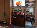 Саяжай · 3 бөлме · 40 м² · 12 жүзд., Мрия садовое товарищество — Заречное не доезжая, бағасы: 10 млн ₸ в Конаеве — фото 6