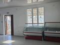 Свободное назначение, магазины и бутики, салоны красоты · 308.4 м² за 51 млн ₸ в  — фото 10
