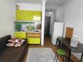 1-комнатная квартира · 19 м² · 2/6 этаж, Ташкентский тракт 7093 за 125 000 ₸ в Иргели — фото 2
