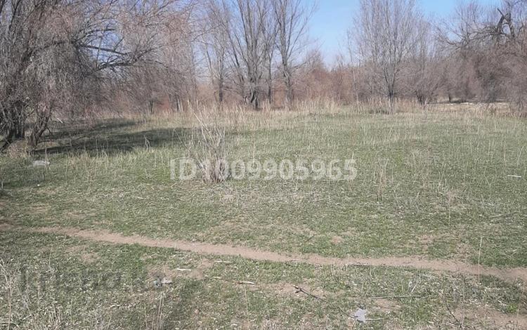 Ауыл шаруашылығы · 4000 м², бағасы: 18 млн ₸ в Комсомоле — фото 4