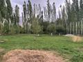Отдельный дом · 4 комнаты · 192 м² · 18 сот., Ағабек 11 за 22 млн ₸ в Тюлькубасе — фото 3