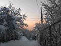 Дача · 1 комната · 35 м² · 11 сот., мкр Каменское плато — СТ Домостроитель за 12.5 млн ₸ в Алматы, Медеуский р-н — фото 22