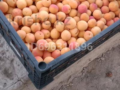 Дача · 3 комнаты · 60 м² · 8 сот., Домостроитель за 3 млн 〒 в 