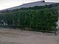 Отдельный дом · 4 комнаты · 128 м² · 10.65 сот., Балауса за 30 млн ₸ в Кызылтобе — фото 3