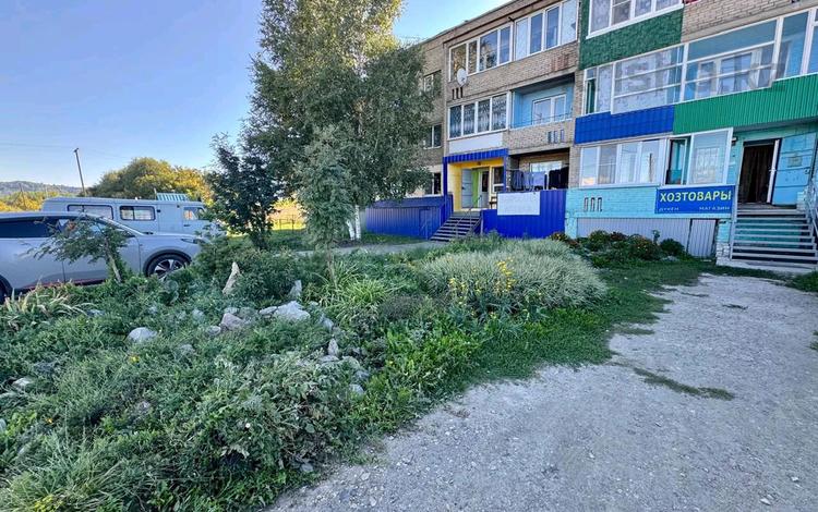 Медцентры и аптеки · 49 м² за ~ 13 млн ₸ в Секисовке — фото 2