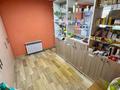 Медцентры и аптеки · 49 м² за ~ 13 млн ₸ в Секисовке — фото 10