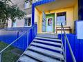 Медцентры и аптеки · 49 м² за ~ 13 млн ₸ в Секисовке — фото 2