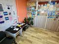 Медцентры и аптеки · 49 м² за ~ 13 млн ₸ в Секисовке — фото 6