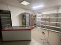 Свободное назначение, магазины и бутики · 100 м² за 23.5 млн ₸ в Бельбулаке (Мичурино) — фото 4
