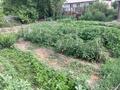 Отдельный дом · 3 комнаты · 65 м² · 500 сот., Джангельдина 139 — Сатпаева за 8.5 млн ₸ в Семее — фото 2