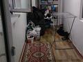 4-бөлмелі пәтер · 80 м² · 3/4 қабат, Койбакова 8 — район Красина-Гамалея, бағасы: 23 млн ₸ в Таразе — фото 20