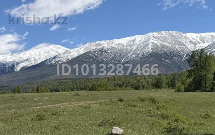Участок · 1.2 га, Катон-Карагай за 35 млн ₸ — фото 15