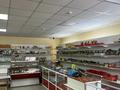 Жеке үй · 7 бөлме · 324.5 м² · 10 жүзд., Шамши калдаякова 12/1, бағасы: 35 млн ₸ в  — фото 12