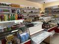 Жеке үй · 7 бөлме · 324.5 м² · 10 жүзд., Шамши калдаякова 12/1, бағасы: 35 млн ₸ в  — фото 13