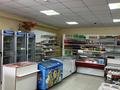 Жеке үй · 7 бөлме · 324.5 м² · 10 жүзд., Шамши калдаякова 12/1, бағасы: 35 млн ₸ в  — фото 14