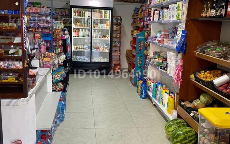 Продуктовый магазин · 79 м² за 9.5 млн ₸ в Астане, Нура р-н — фото 3