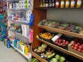 Продуктовый магазин · 79 м² за 9.5 млн ₸ в Астане, Нура р-н — фото 3