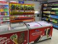 Продуктовый магазин · 79 м² за 9.5 млн ₸ в Астане, Нура р-н — фото 8