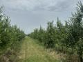 Участок · 10 га, Байдибек би за 135 млн ₸