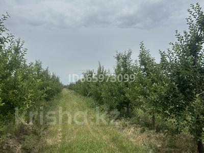 Участок · 10 га, Байдибек би за 135 млн ₸