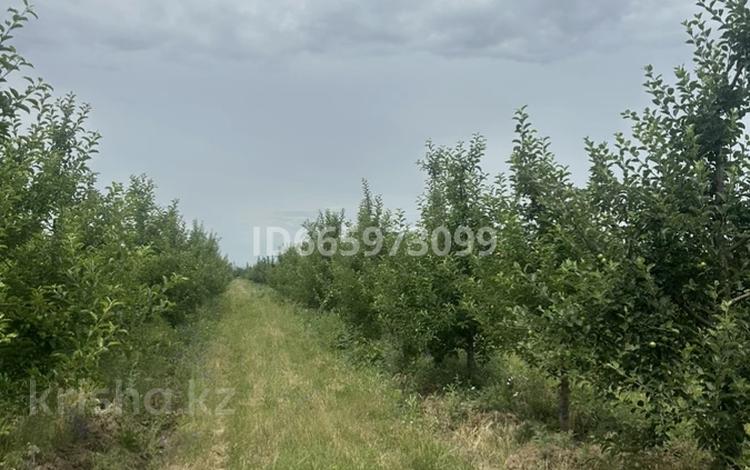 Участок · 10 га, Байдибек би за 135 млн ₸ — фото 11
