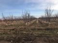 Участок · 10 га, Байдибек би за 135 млн ₸ — фото 9