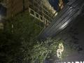 2-комнатная квартира · 62 м² · 6/12 этаж, мкр Алгабас 3 — Онгарсынова за 35 млн ₸ в Алматы, Алатауский р-н — фото 2