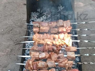 Отдельный дом · 1 комната · 25 м², Ст Железнодорожник — Толе би/ВОАД за 120 000 〒 в Алматы, Медеуский р-н