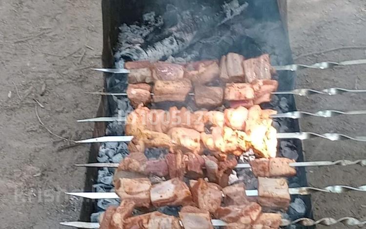 Отдельный дом · 1 комната · 25 м², Ст Железнодорожник — Толе би/ВОАД за 120 000 〒 в Алматы, Медеуский р-н — фото 2