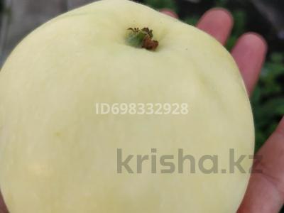 Участок · 8 соток, Тепличное за 2.2 млн 〒