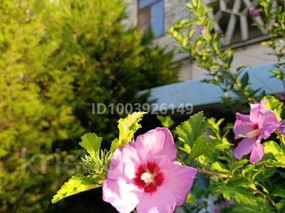 4-бөлмелі пәтер · 81 м² · 2/5 қабат, Сәтбаев 19 — ГИДРОкомплекс, бағасы: 25 млн 〒 в Таразе