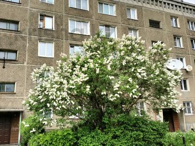 2-комнатная квартира · 50 м² · 5/5 этаж, Казанская 16 за 12.8 млн ₸ в Усть-Каменогорске