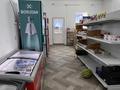 Жеке үй · 5 бөлме · 100 м² · 12 жүзд., Аралбай Махамбетов 28, бағасы: 65 млн ₸ в  — фото 7
