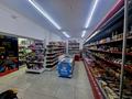 Магазины и бутики, общепит, салоны красоты, медцентры и аптеки, образование, развлечения · 101.8 м² за 165 млн ₸ в Алматы, Бостандыкский р-н — фото 2